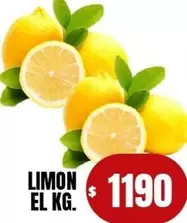 Limon