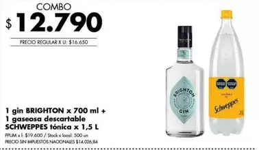 X$ - 1 gin x 700 ml + 1 gaseosa descartable x 1,5 L