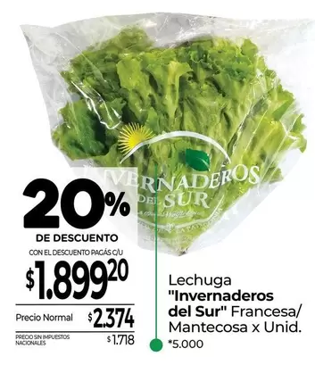 X$ - Lechuga Francesa/Mantecosa