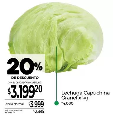 X$ - Lechuga Capuchina Granel