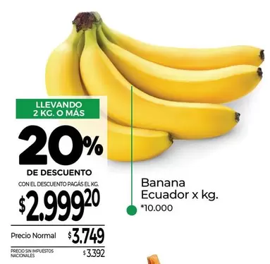 X$ - Banana Ecuador