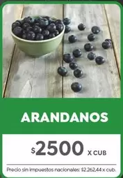 X$ - ARANDANOS