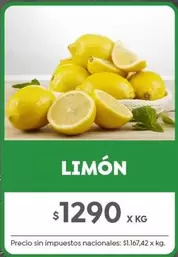 X$ - Limón