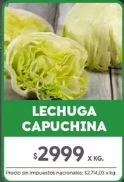 X$ - LECHUGA CAPUCHINA