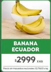 X$ - BANANA ECUADOR