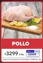 X$ - POLLO