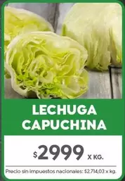 X$ - LECHUGA CAPUCHINA