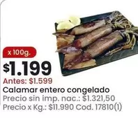 X$ - Calamar entero congelado Cod. 17810(1)