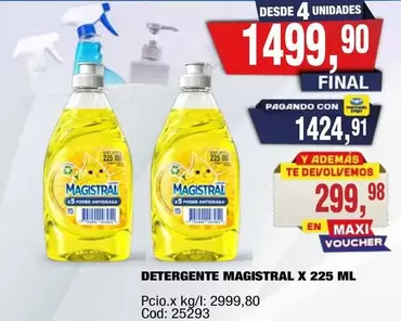 Magistral - DETERGENTE MAGISTRAL X 225 ML