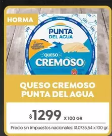 Punta del Agua - Queso Cremoso