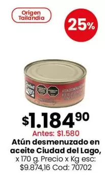 Ciudad del Lago - Atún desmenuzado en aceite
