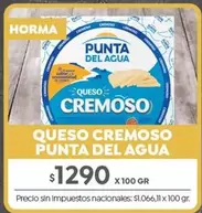 Punta del Agua - QUESO CREMOSO