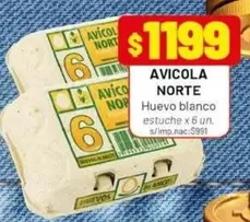Norte - Huevo blanco