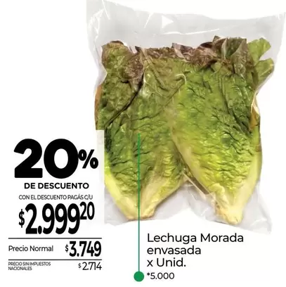 X$ - Lechuga Morada