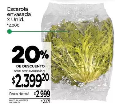 X$ - Escarola envasada