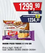 Pozo - BUDIN POZO TODOS X 170 GR