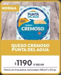 Punta del Agua - Queso Cremoso