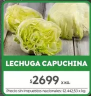 X$ - LECHUGA CAPUCHINA