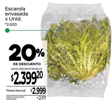 X$ - Escarola envasada