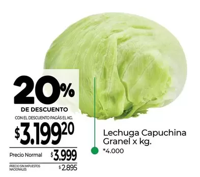 X$ - Lechuga Capuchina Granel