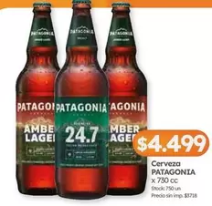Patagonia - Cerveza Amber Lager