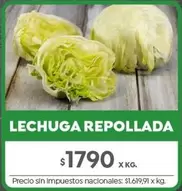 X$ - LECHUGA REPOLLADA