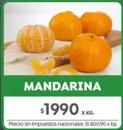 X$ - MANDARINA