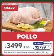 X$ - POLLO
