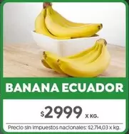 X$ - BANANA ECUADOR