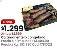 X$ - Calamar entero congelado Cod. 17810(2)