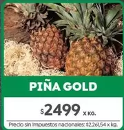 X$ - PIÑA GOLD