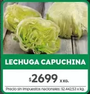 X$ - LECHUGA CAPUCHINA