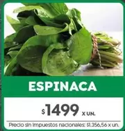 X$ - ESPINACA