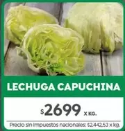 X$ - LECHUGA CAPUCHINA