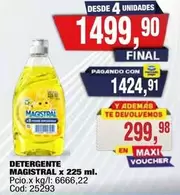 Magistral - DETERGENTE MAGISTRAL