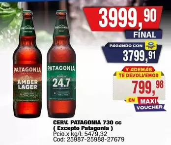 Patagonia - CERV. PATAGONIA 730 cc (Excepto )