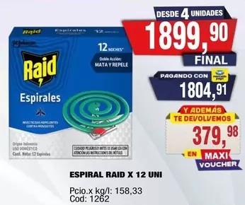 Raid - ESPIROLES RAID X 12 UNI