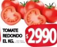 Redondo - TOMATE REDONDO