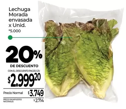 Lechuga Morada