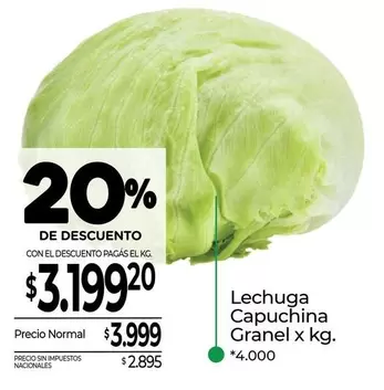 X$ - Lechuga Capuchina