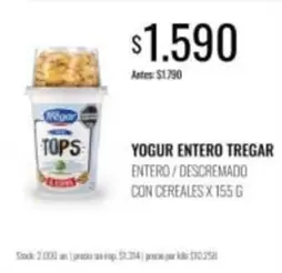 Tregar - YOGUR ENTERO TREGAR