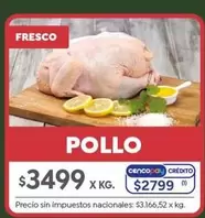 X$ - POLLO