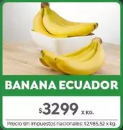 X$ - BANANA ECUADOR
