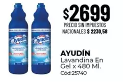 X$ - Lavandina En Gel x 480 Ml.