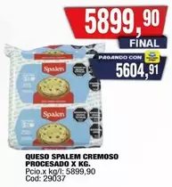 Spalen - QUESO SPALEM CREMOSO PROCESADO X KG.