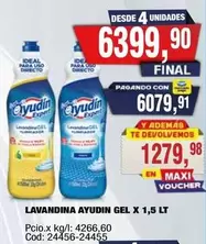 Ayudin - LAVANDINA GEL