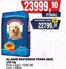 Beethoven - AL.ANIM BEETHOVEN PERRO ADUL