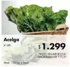 X$ - Acelga