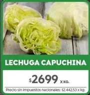 X$ - LECHUGA CAPUCHINA
