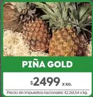 X$ - PIÑA GOLD